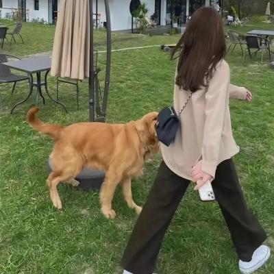 无为大师第三季